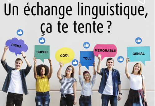 Un échange linguistique ça te tente ? 