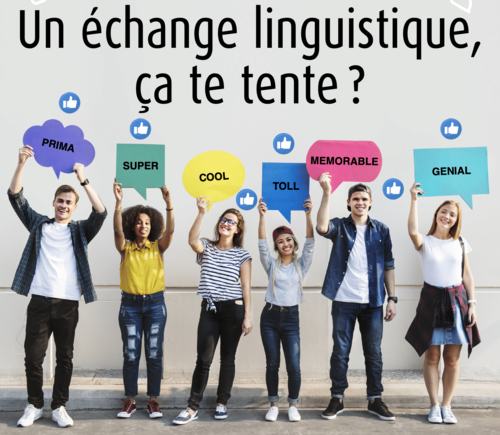 Séjours linguistiques